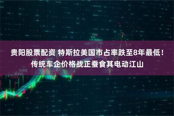 贵阳股票配资 特斯拉美国市占率跌至8年最低！传统车企价格战正蚕食其电动江山