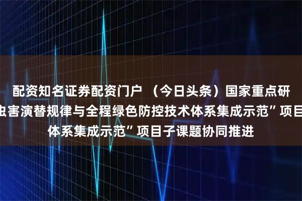 配资知名证券配资门户 （今日头条）国家重点研发计划“薯类病虫害演替规律与全程绿色防控技术体系集成示范”项目子课题协同推进