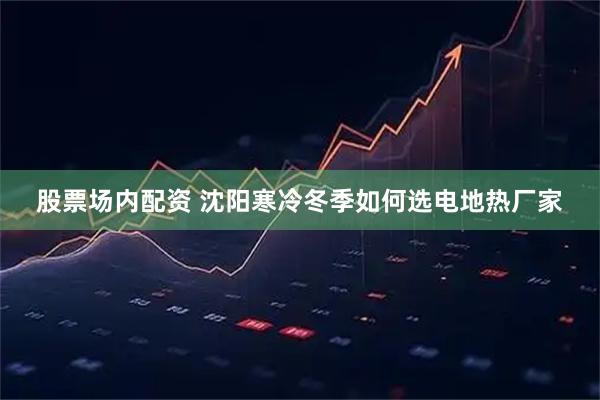 股票场内配资 沈阳寒冷冬季如何选电地热厂家